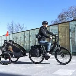 XLC Remorque Enfant Mono S 20 Gris/beige/anthracite